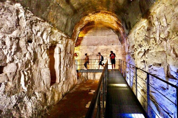 Underground tour  Special tour of underground colosseum included arena ,1st & 2nd floor with access of forum romano and palatine hill